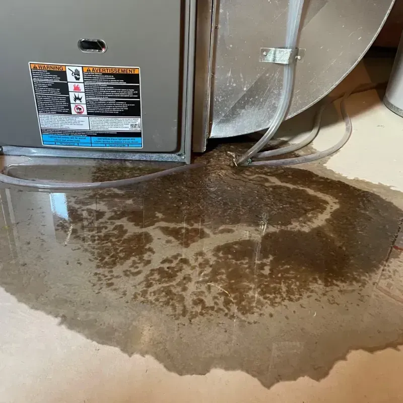 Appliance Leak Cleanup in Highwood, IL